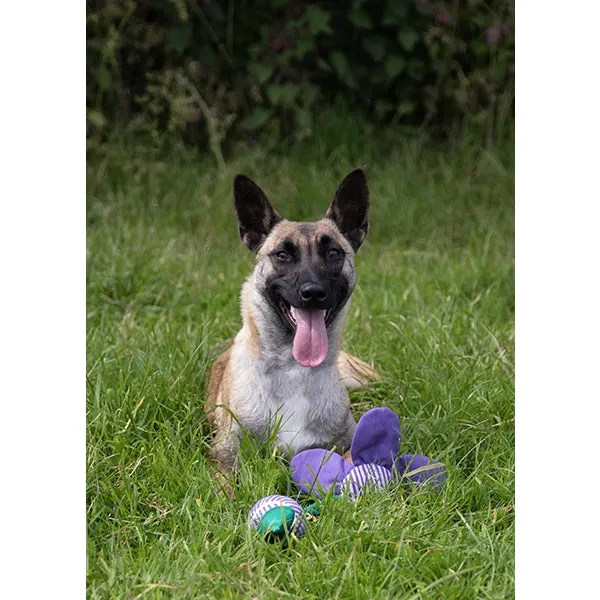 Battersea Flower Tug Toy