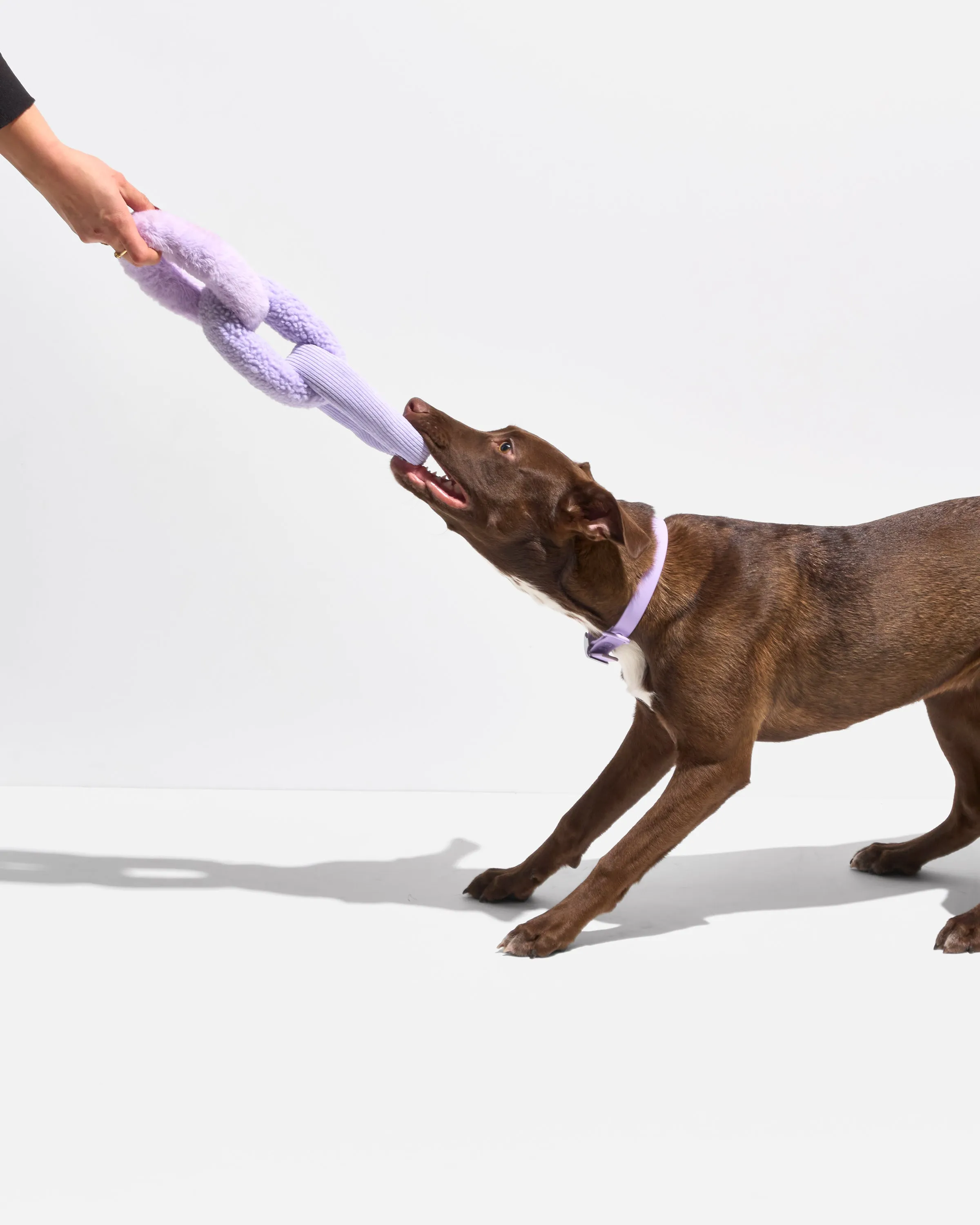 Chew Chain