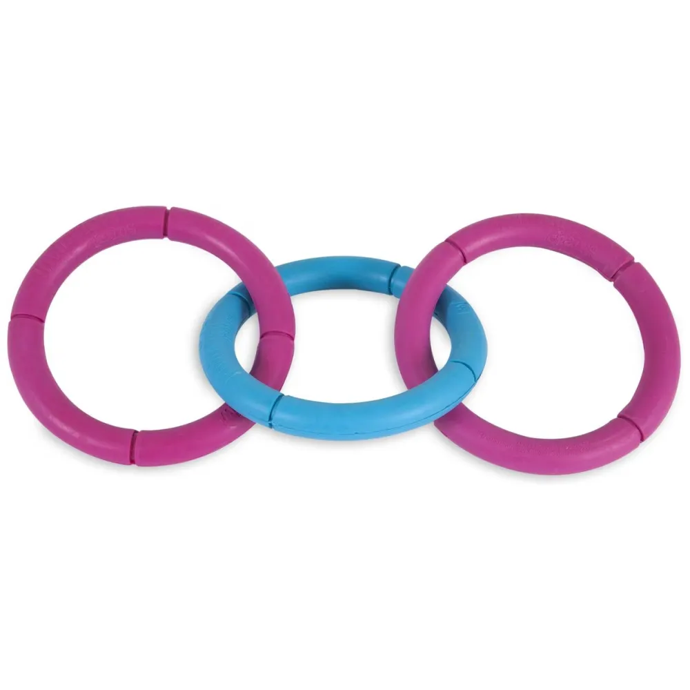 JW Invincible Chains Triple Toy for Dogs (Blue/Pink)