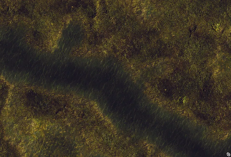 Mats by Mars: Swamplands Tabletop Wargaming Play Mat