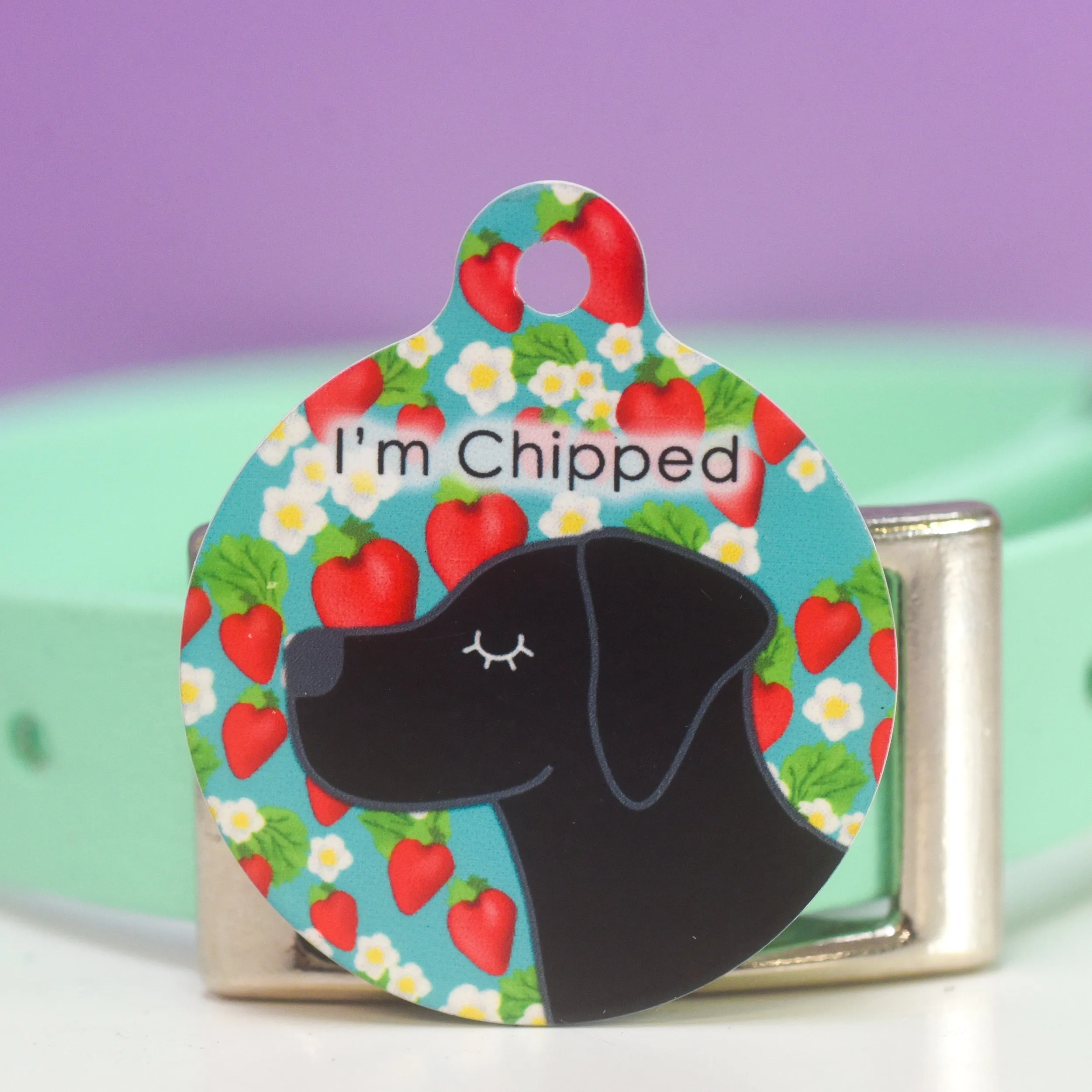 Personalised Pet ID Tag - Cartoon Summer Fruits
