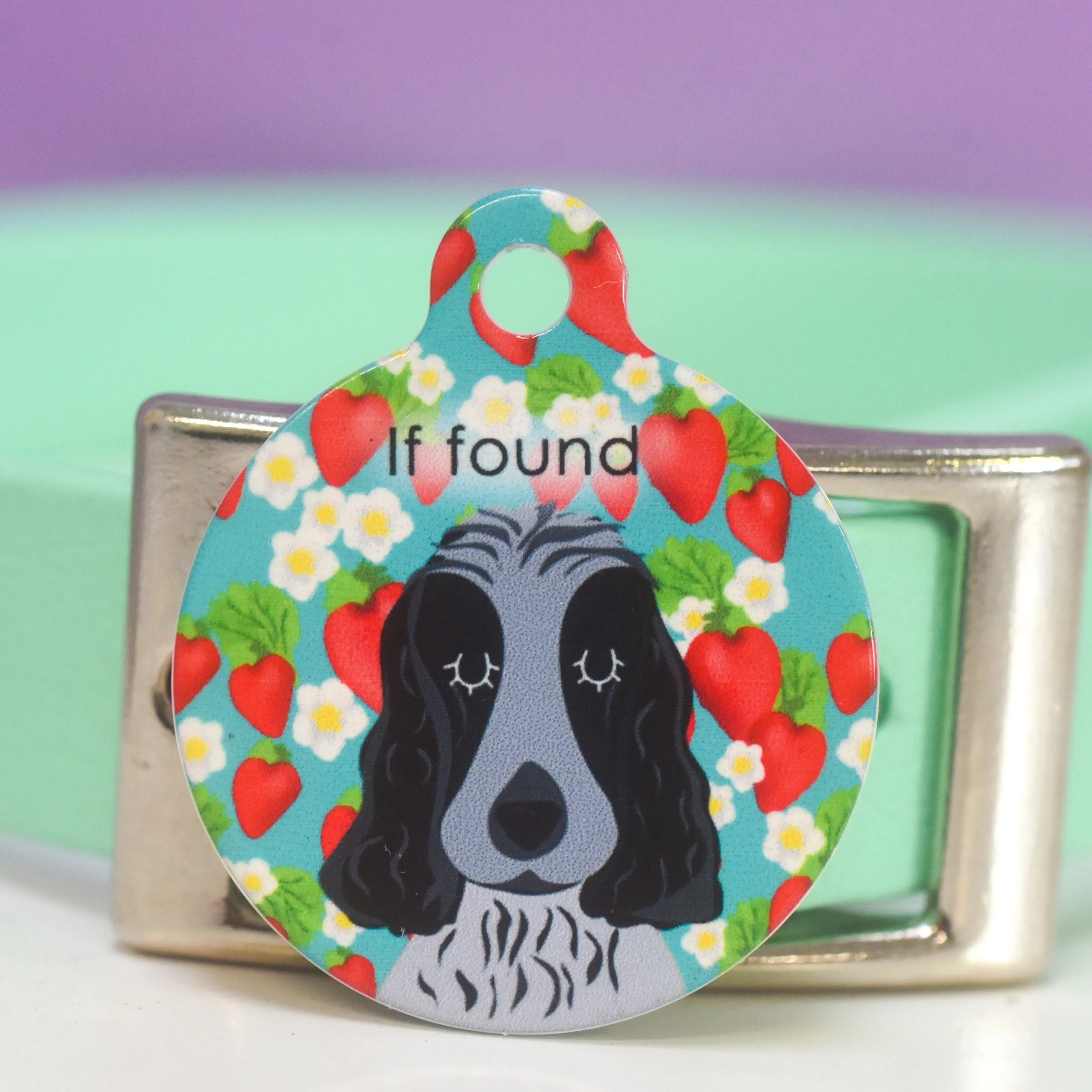 Personalised Pet ID Tag - Cartoon Summer Fruits