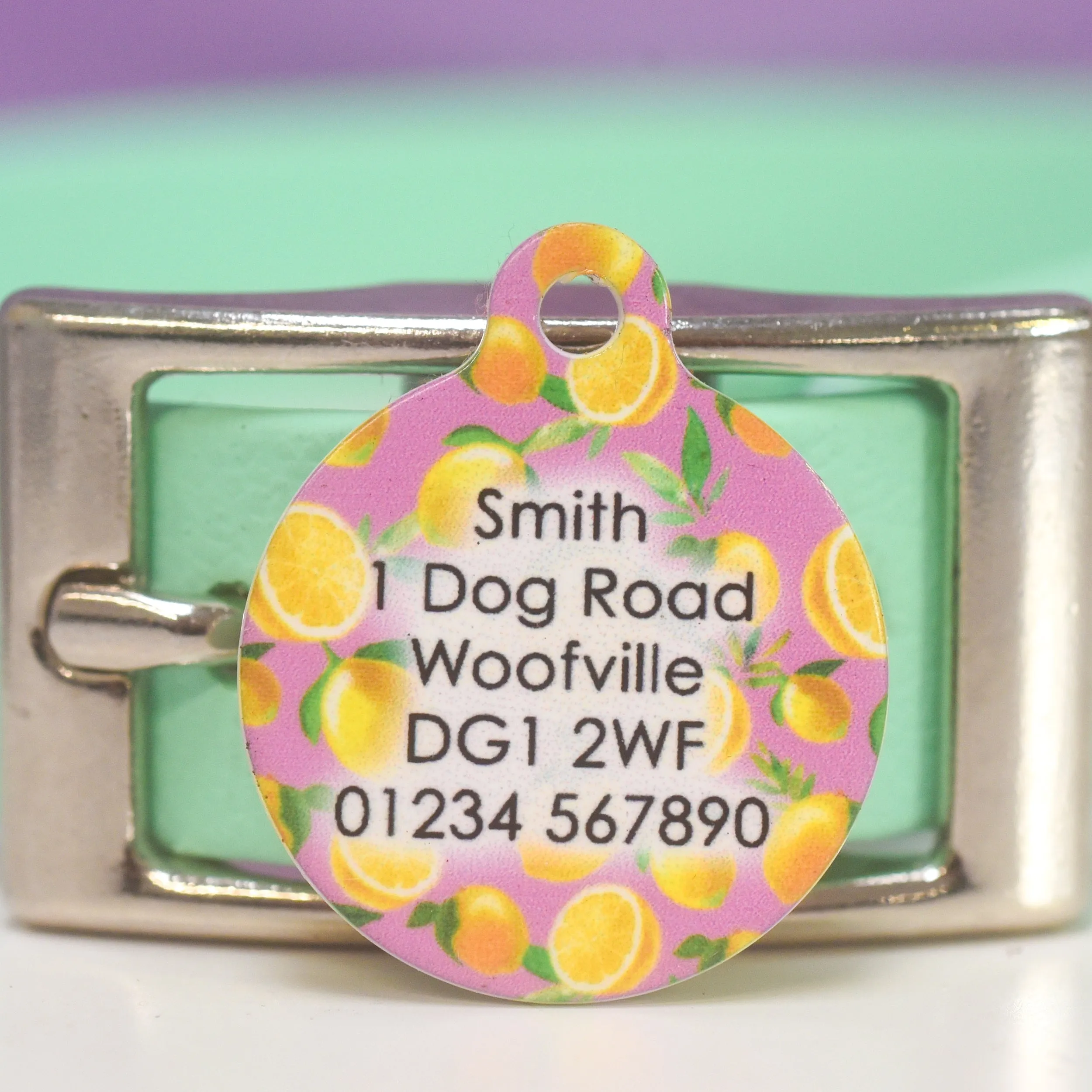 Personalised Pet ID Tag - Cartoon Summer Fruits