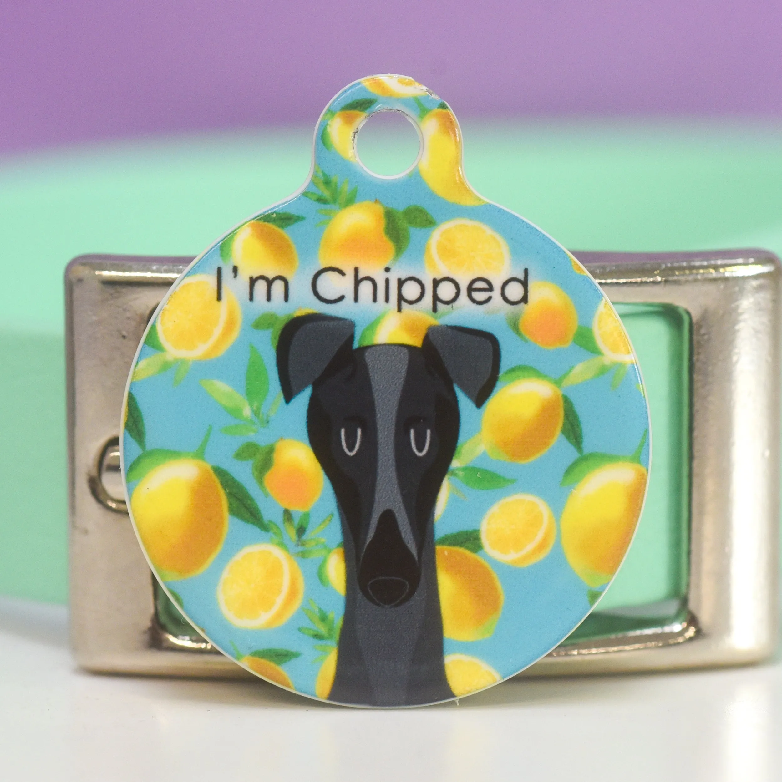 Personalised Pet ID Tag - Cartoon Summer Fruits