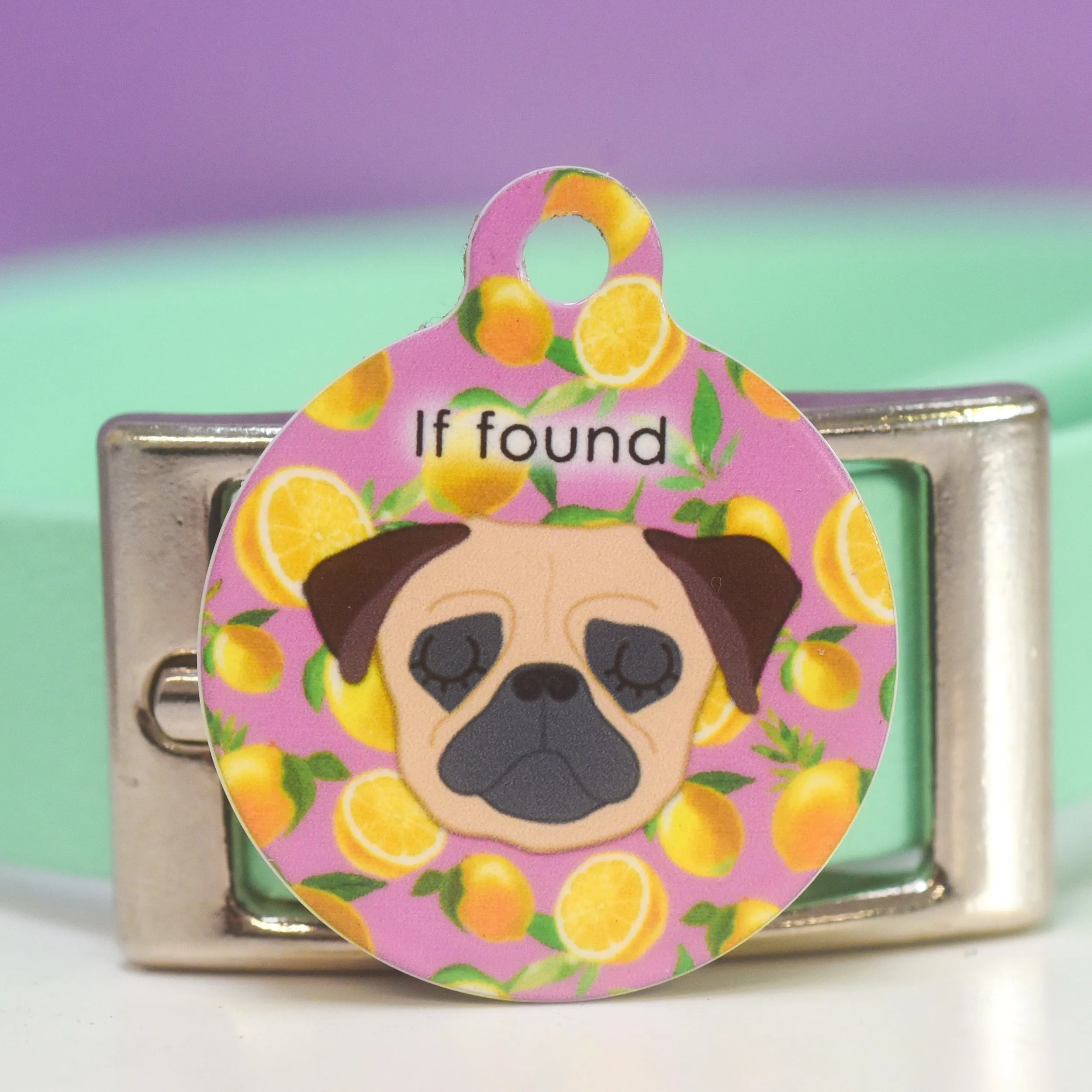 Personalised Pet ID Tag - Cartoon Summer Fruits