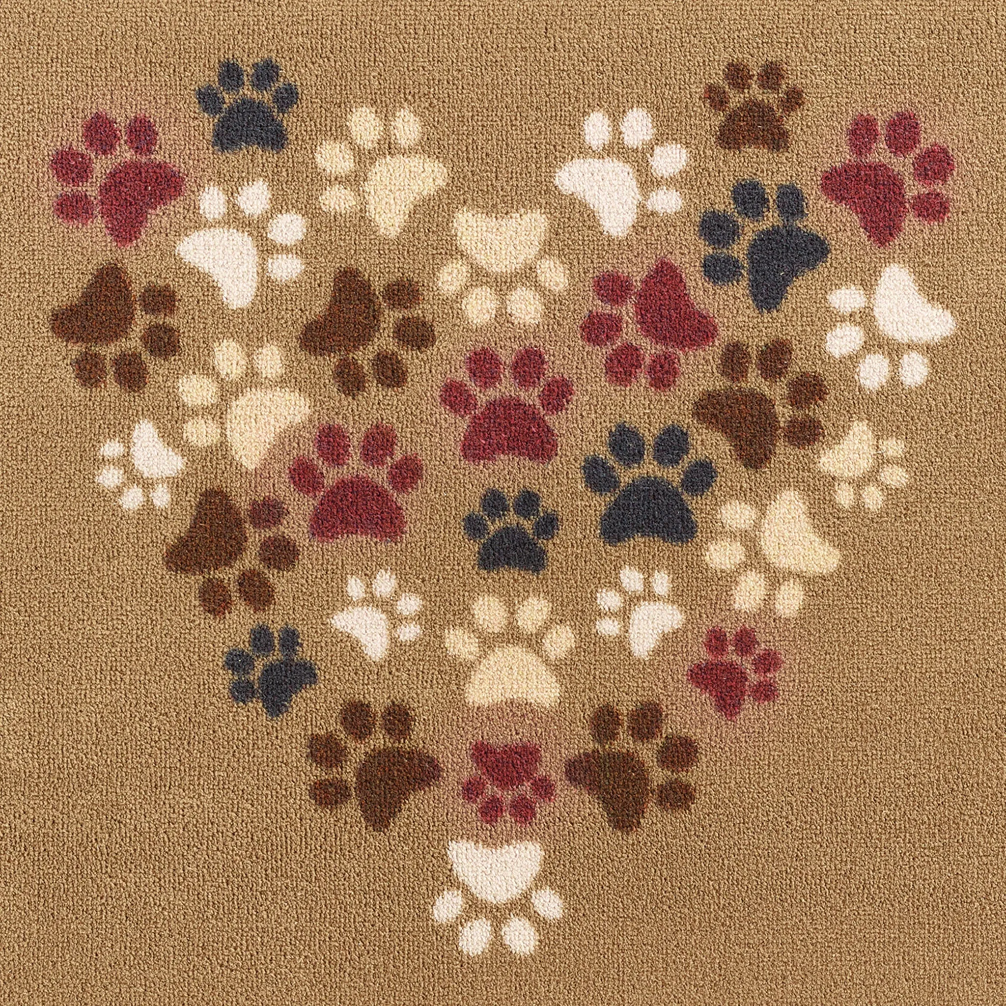 Pet 45