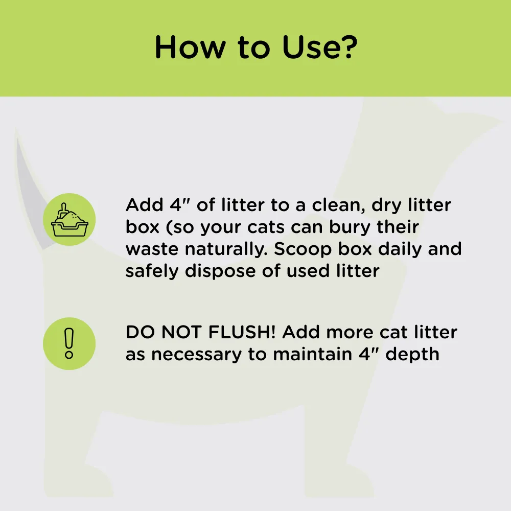 Signature Grain Zero Lavender Scented Cat Litter
