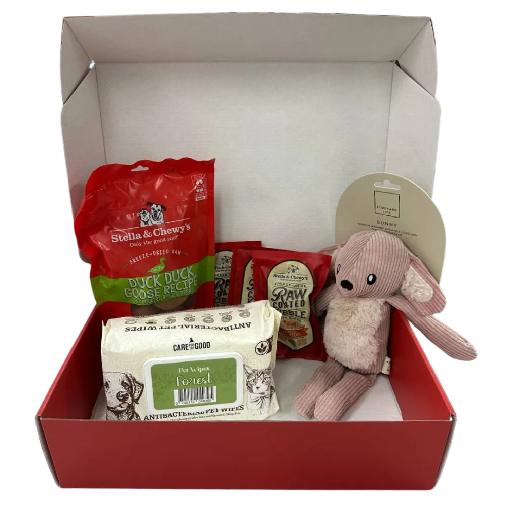 Stella & Chewy's Dog Starter Box - Duck
